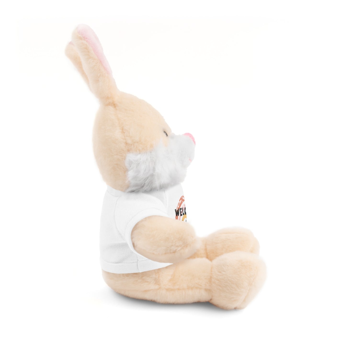 Welcome to the World baby girl Stuffed Animal Teddy Bear - Adorable Gift for Newborns & Celebrations