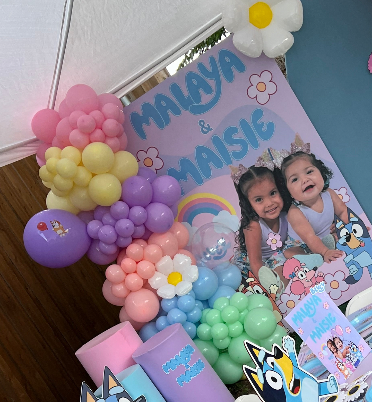 2 Custom prints backdrop attachable (Any themed)